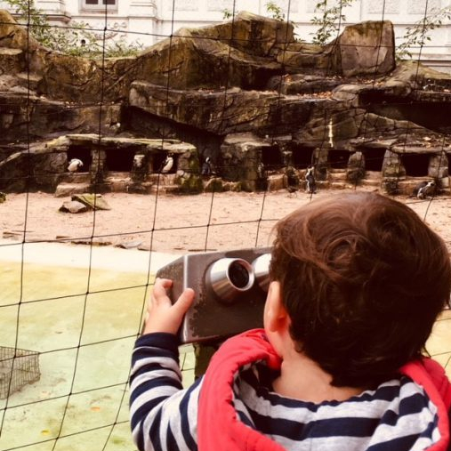 cropped-cropped-img_6226-3-copy1