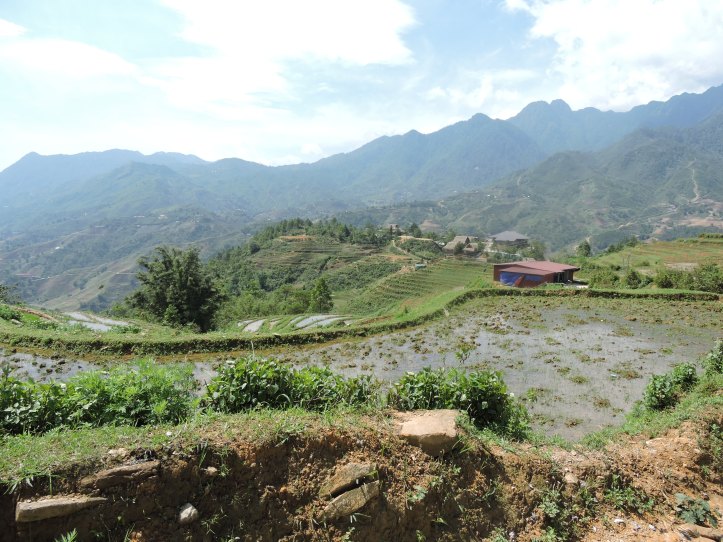 Rice Valley, Sapa Valley