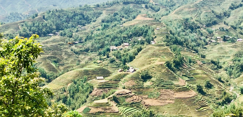 Sapa, Vietnam, Trekking